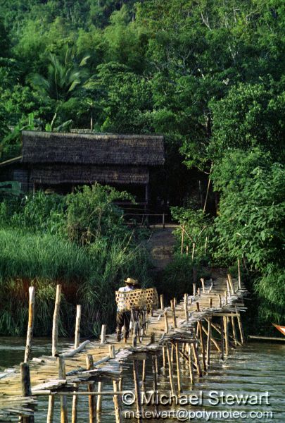 Thailand - The Old Wooden Bridge at Ban Thaton